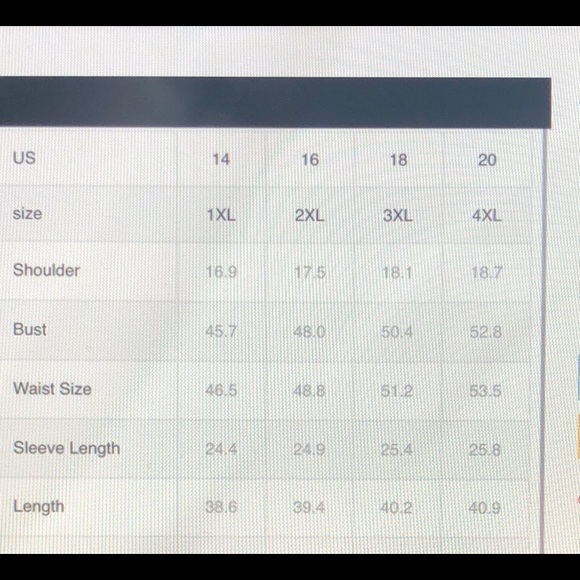 PLUS Size Leopard Dress - Picture 4 of 4